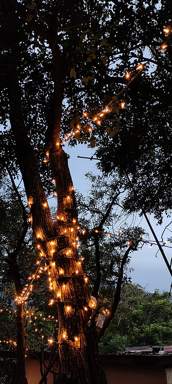 Casa, cabaña ,luces, luces, árbol HD phone wallpaper