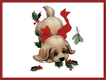 Xmas dog, dog, puppy, holiday, morehead HD wallpaper