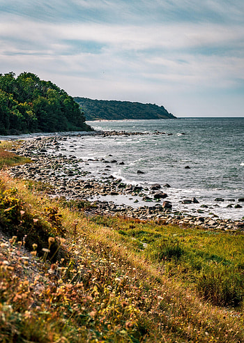 Nature, Sky, Sea, Bush, Coast, Slope HD phone wallpaper