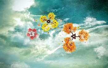 Space Trees, space, trees, graphics HD wallpaper