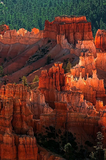 Bryce Canyon National Park, Natural wonders, National park graphy, National park exploration HD phone wallpaper