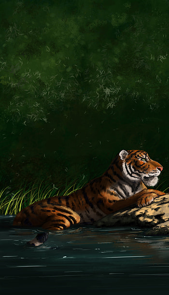 Art, Predator, Big Cat, Tiger, Profile HD phone wallpaper