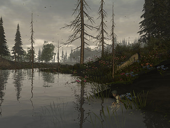 Wilderless, New game, Great outdoors exploration, Immersive gameplay HD wallpaper