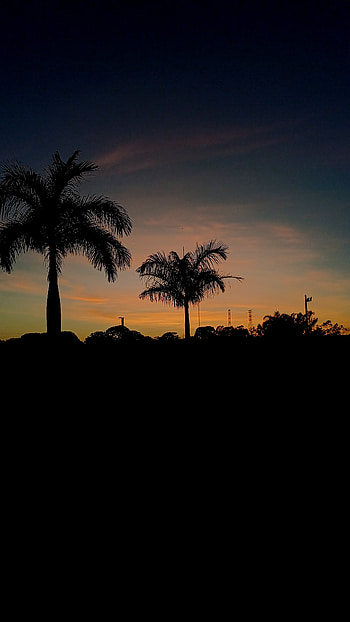 Sunset Serenity, sunset, sky, evening, landscape, outdoor HD phone wallpaper