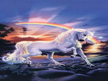 Unicorns-Rainbow, unicorn, rainbow HD wallpaper