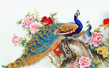 Peacocks, blue, art, peony, pasare, chinese, pink, paun, fantasy, flower, green, red, couple, peacock HD wallpaper