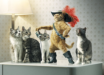 Hat, Humor, Animal, Cat, Puss In Boots, Sword HD wallpaper