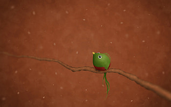 A Little Quetzal, quetzal, bird, cute, ubuntu, little HD wallpaper