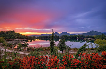 Quiet lake, tranquility, sky, flowers, lake HD wallpaper