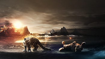 Snow Leopard Cubs, snow-leopard, animals HD wallpaper