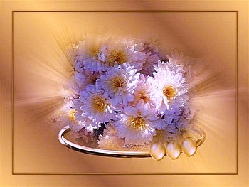 A spot of sun - still life, flowers, sunlight, arrangement, yellow and white HD wallpaper