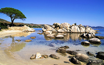 Corsica Island, Palombaggia beach, Beach , 13662 HD wallpaper