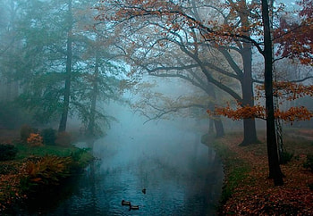 fall mist over river, mist, nature, rivers, fall HD wallpaper