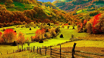 Fall on the farm, Fields, Trees, Fence, Hills, Bushes HD wallpaper