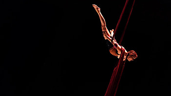 Aerial monkey hands, Aerial gymnastics, Aerial skill, Acrobatic strength HD wallpaper
