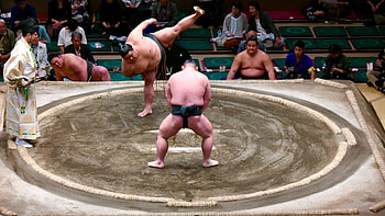 Sumo, National sport of Japan, Cultural symbol, Todoku Japan HD wallpaper
