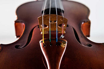 Rondo viola, Thomastik infeld, Vienna strings, Superior quality HD wallpaper