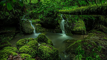 Beautiful Place, waterfalls, nature, plants, green HD wallpaper