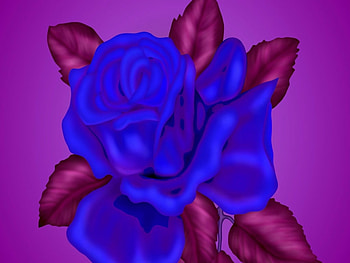 Vector Rose On Gradient, blue, pink, design, flower HD wallpaper