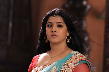 Vara Lakshmi, sari, jewellery HD wallpaper