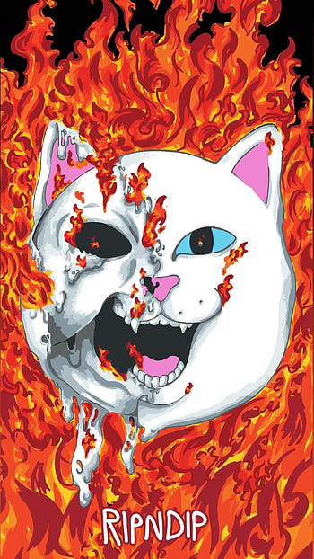 Ripndip, whiskers, art HD phone wallpaper
