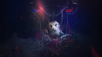 Owl , owl, birds, artist, artwork, digital-art, deviantart HD wallpaper