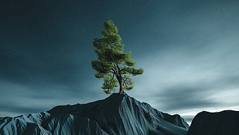 Lone Tree Under a Starry Sky — Artwork, Tree, Starry Sky, Artwork HD wallpaper
