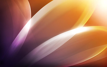 Abstract, Background, Flower, Shine, Light, Petals HD wallpaper