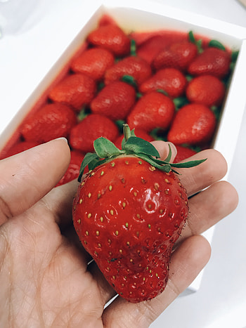 Food, Strawberry, Hand, Berry, Ripe HD phone wallpaper