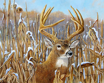 CROWNING GLORY, BUCK, BIG, GLORY, CROWNING HD wallpaper