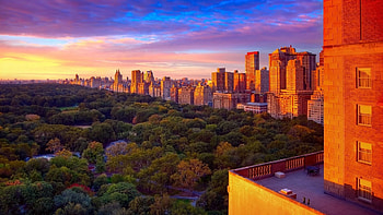 central park on a worm sunset r, skyscrapers, city, trees, r, sunset, park HD wallpaper