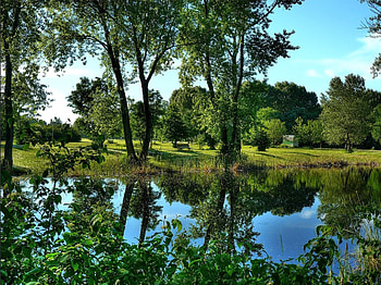 Landscape, Nature, Rivers, Trees, Bush HD wallpaper