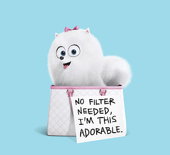 Gidget The Secret Life Of Pets, the-secret-life-of-pets, movies, animated-movies, cartoons, 2016-movies HD wallpaper