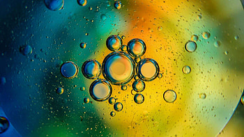 Bubbles Circles Oil Water Mixed Colors Abstraction Abstract HD wallpaper