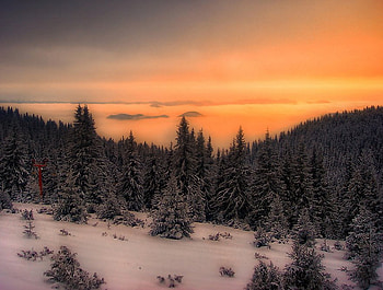Winter impressions, snow, impression, forest, sunset, tree HD wallpaper