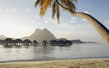 Beautiful View, palms, view, sky, beautiful, spa, relax, sun HD wallpaper