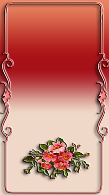 love, taha, omar HD phone wallpaper