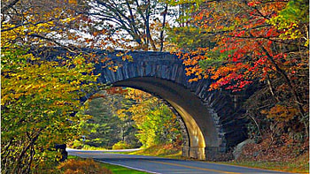 North Carolina, Blue Ridge Parkway HD wallpaper