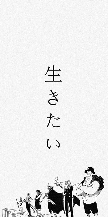 Luffy, Sanji, Anime, Ussop, Zoro, Nami, One Piece, Chopper, Manga HD phone wallpaper