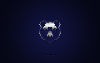 Bristol Bears, English rugby club, Premiership Rugby, blue logo, blue carbon fiber background, rugby, Bristol, England, Bristol Bears logo HD wallpaper