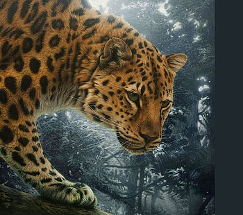On the hunt, mist, leopard, branches, forest, spotted HD wallpaper