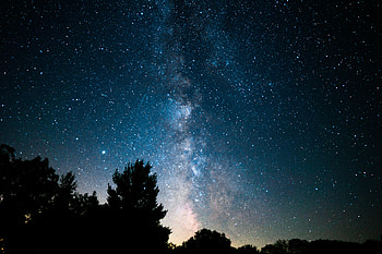 Nature, Trees, Stars, Bush, Starry Sky, Nebula HD wallpaper