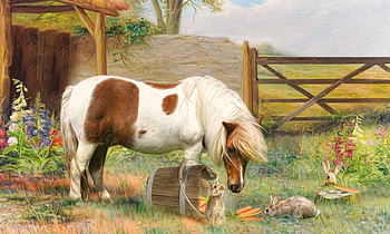 horse on the farm, garden, farm, horse, country HD wallpaper