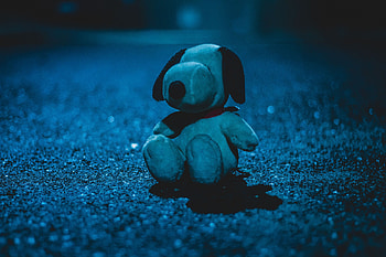 Miscellanea, Miscellaneous, Dog, Toy, Shadow, Soft Toy HD wallpaper