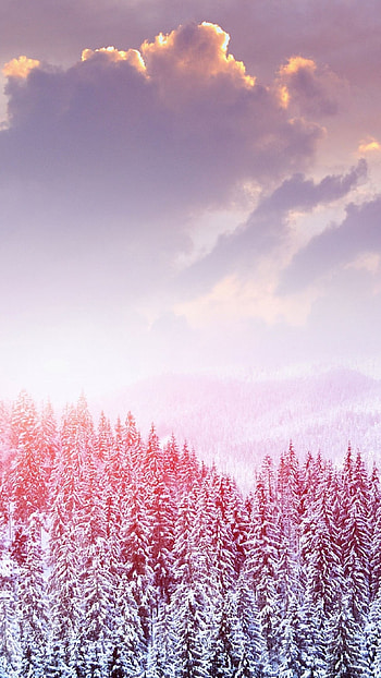 Best I , Beautiful Nature, beautiful, nature HD phone wallpaper