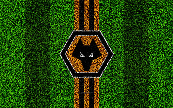 Wolves FC, wanderers, wolverhampton, wolvesfc, club, logo, football HD wallpaper