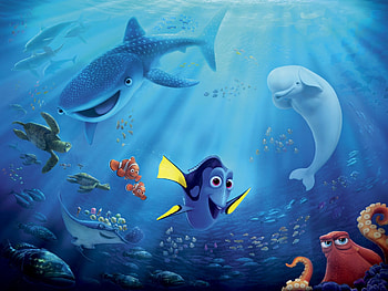 Finding Dory, Forgetful fish, Underwater adventure, Destiny character HD wallpaper