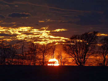 Good Night Mr. Sun, clouds, trees, sky, sun, sunset, cloud HD wallpaper
