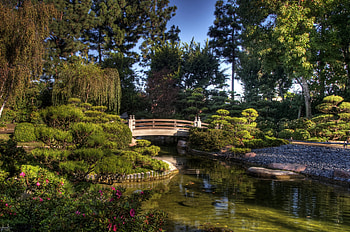 Nature, Trees, Pebble, Vegetation, Bridge, Pond HD wallpaper