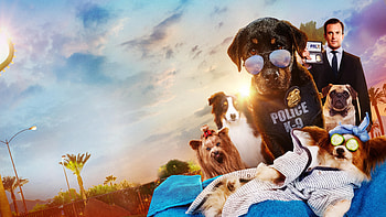 Show Dogs , show-dogs, 2018-movies, movies, dogs HD wallpaper